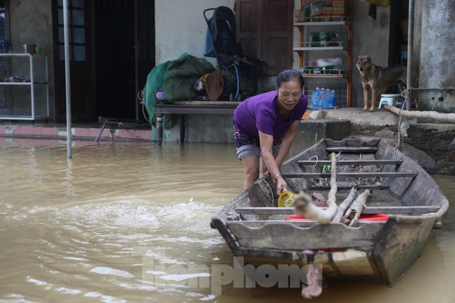 Nước lũ rút chậm, hàng nghìn hộ dân vùng hạ du ở Nghệ An vẫn bị cô lập ảnh 4