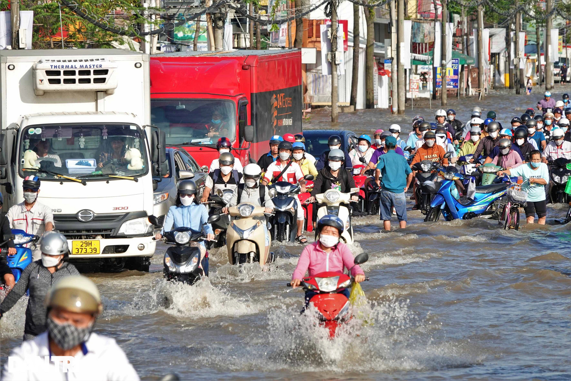 Người dân Tây Đô thích thú chèo thuyền, bơi thau khi đỉnh triều cường lên - 1