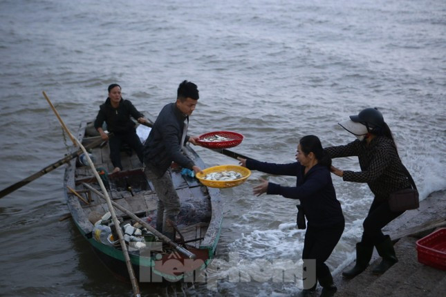 Hối hả bán hải sản tại cảng lớn nhất Hà Tĩnh trước giờ bão số 6 đổ bộ ảnh 10