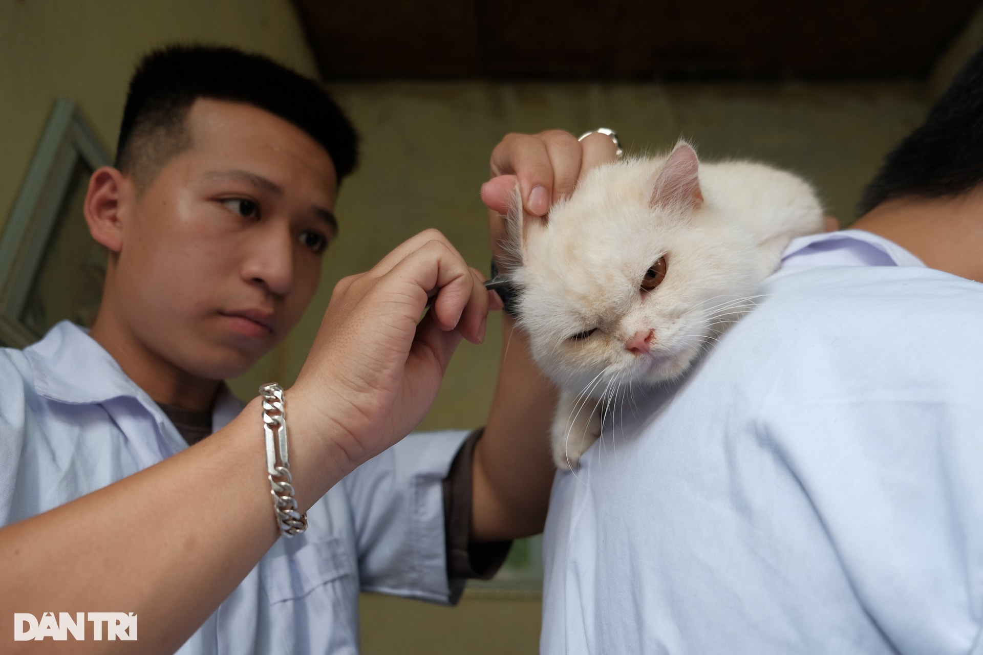 Hàng xóm hận thù, cạch mặt nhau vì 