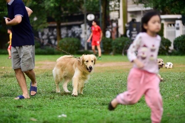 Hàng xóm hận thù, cạch mặt nhau vì 