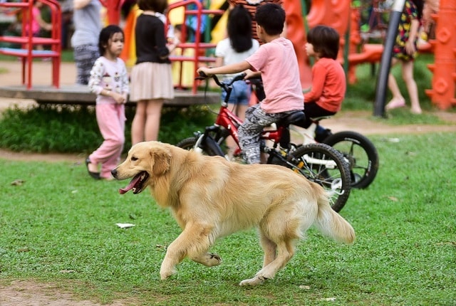 Hàng xóm hận thù, cạch mặt nhau vì 