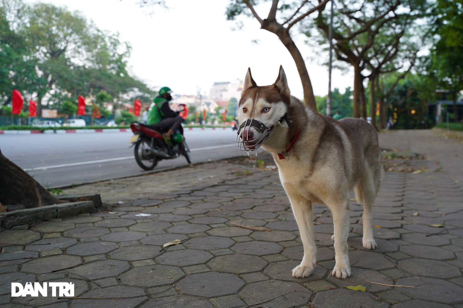 Hàng xóm hận thù, cạch mặt nhau vì 