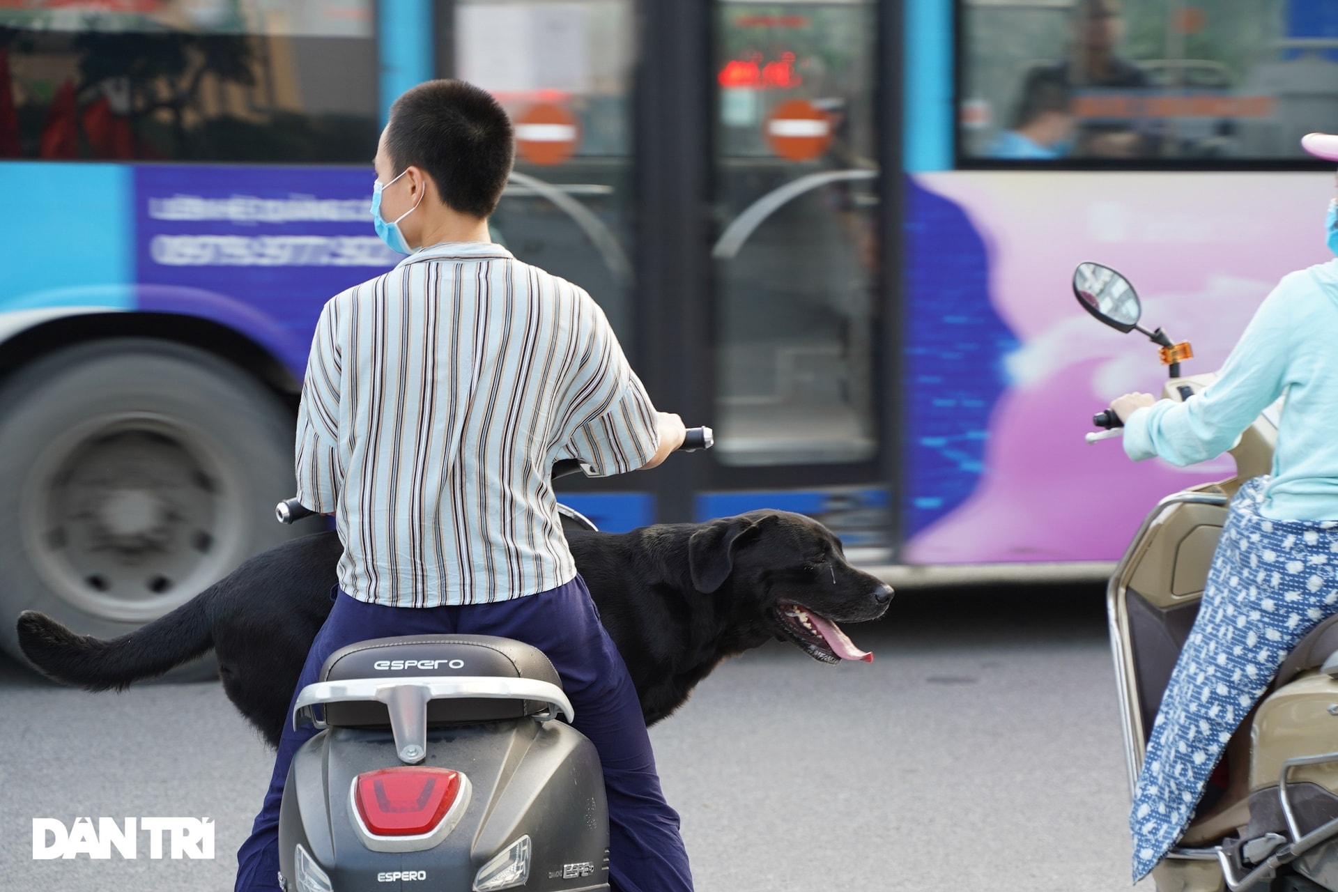 Hàng xóm hận thù, cạch mặt nhau vì 