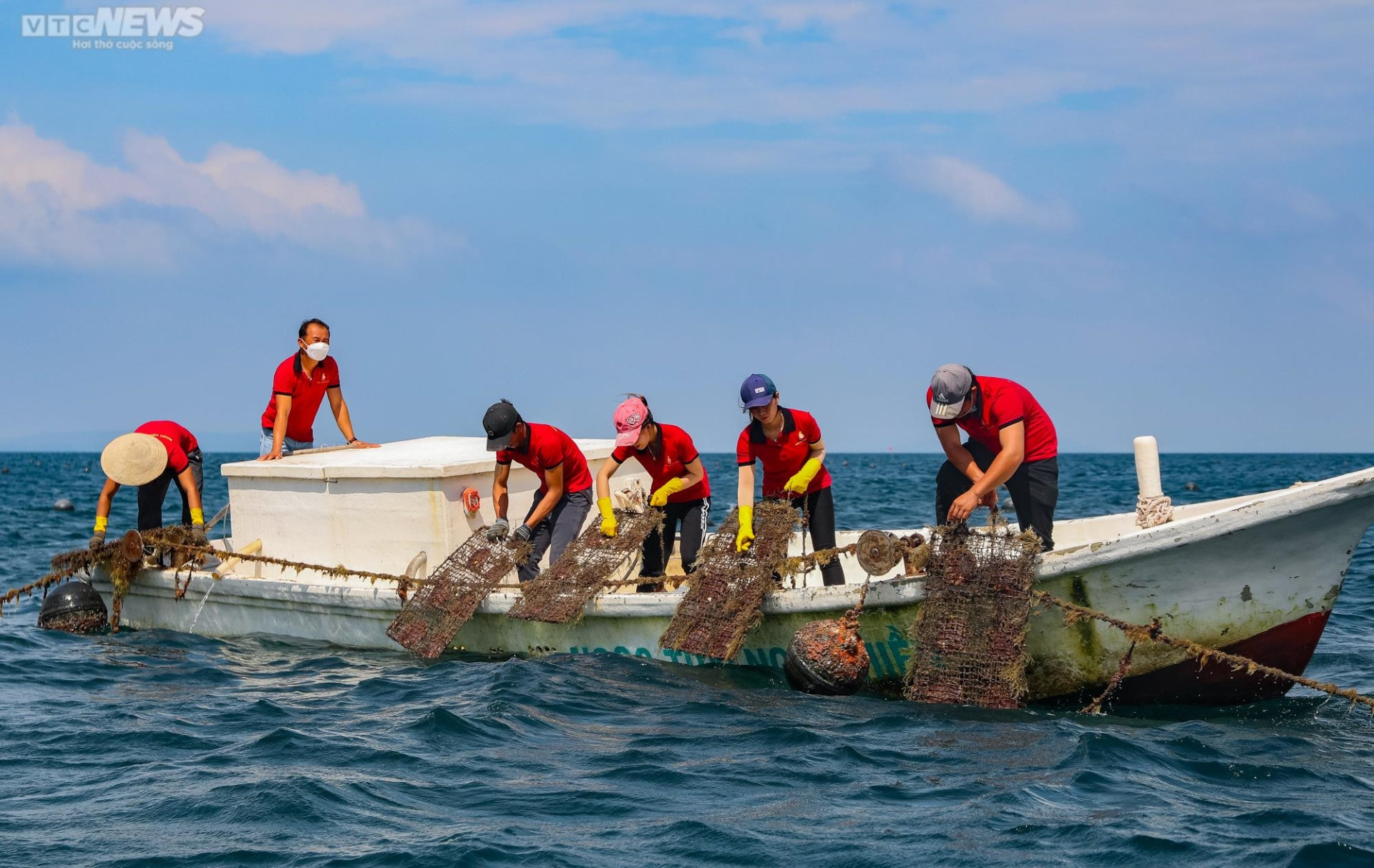 Tận mắt xem ngư dân Phú Quốc khai thác kho ngọc tiền tỷ dưới đáy biển - 4