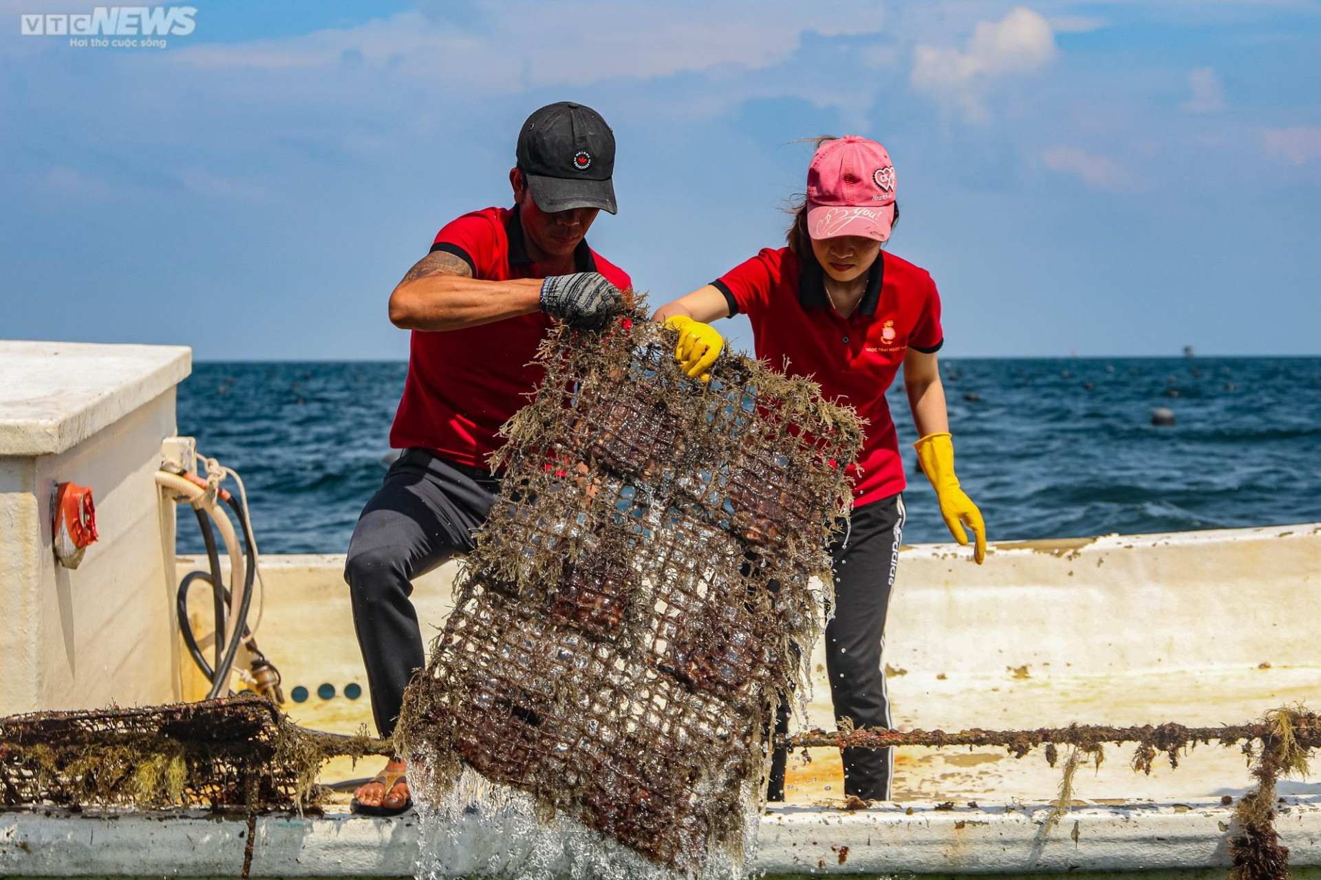 Tận mắt xem ngư dân Phú Quốc khai thác kho ngọc tiền tỷ dưới đáy biển - 13