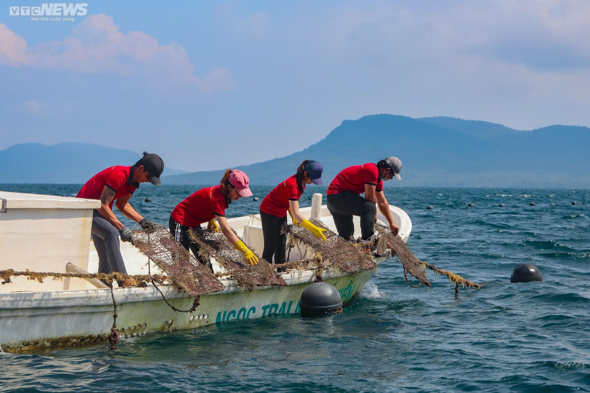 Tận mắt xem ngư dân Phú Quốc khai thác kho ngọc tiền tỷ dưới đáy biển - 5