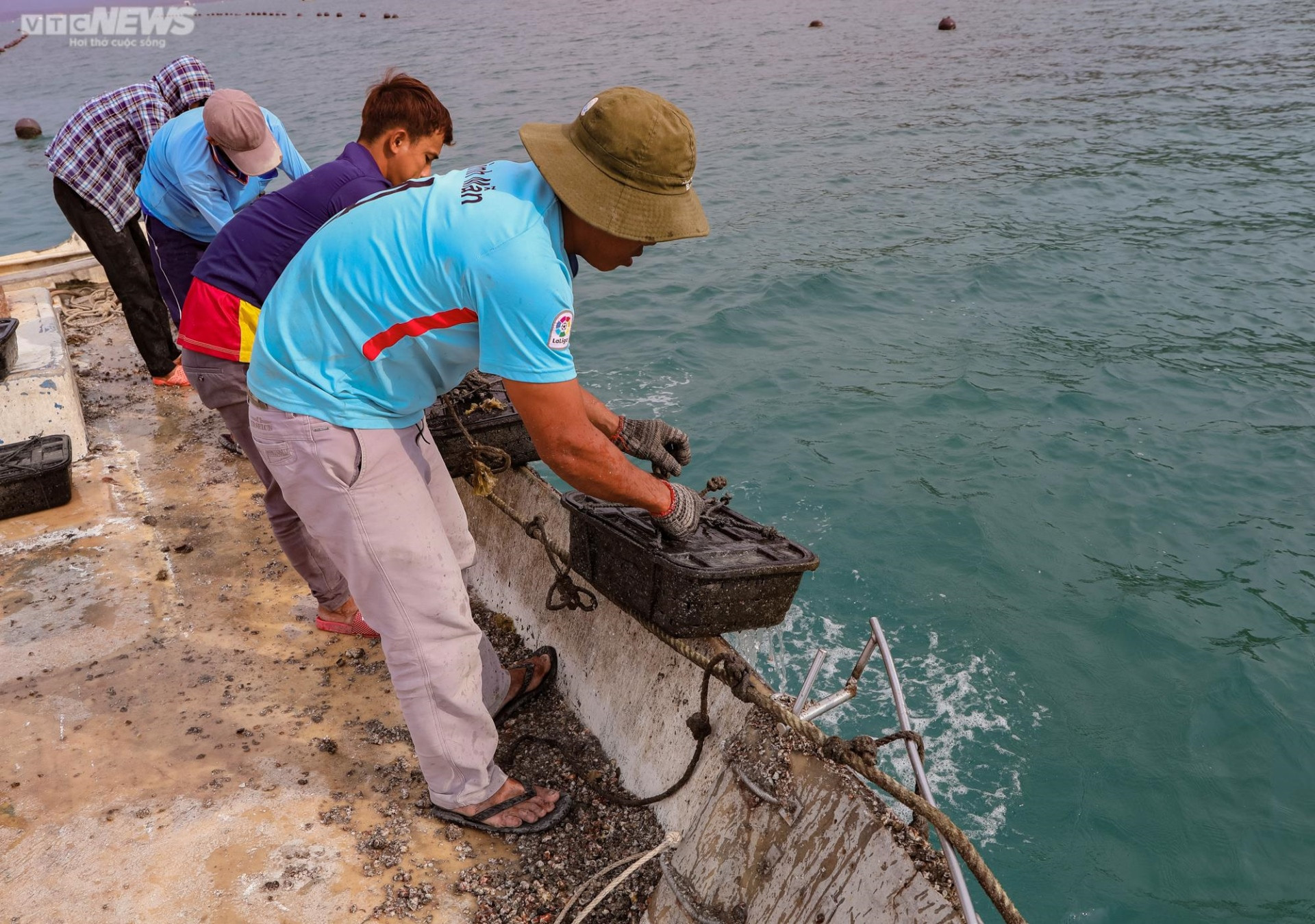Tận mắt xem ngư dân Phú Quốc khai thác kho ngọc tiền tỷ dưới đáy biển - 11