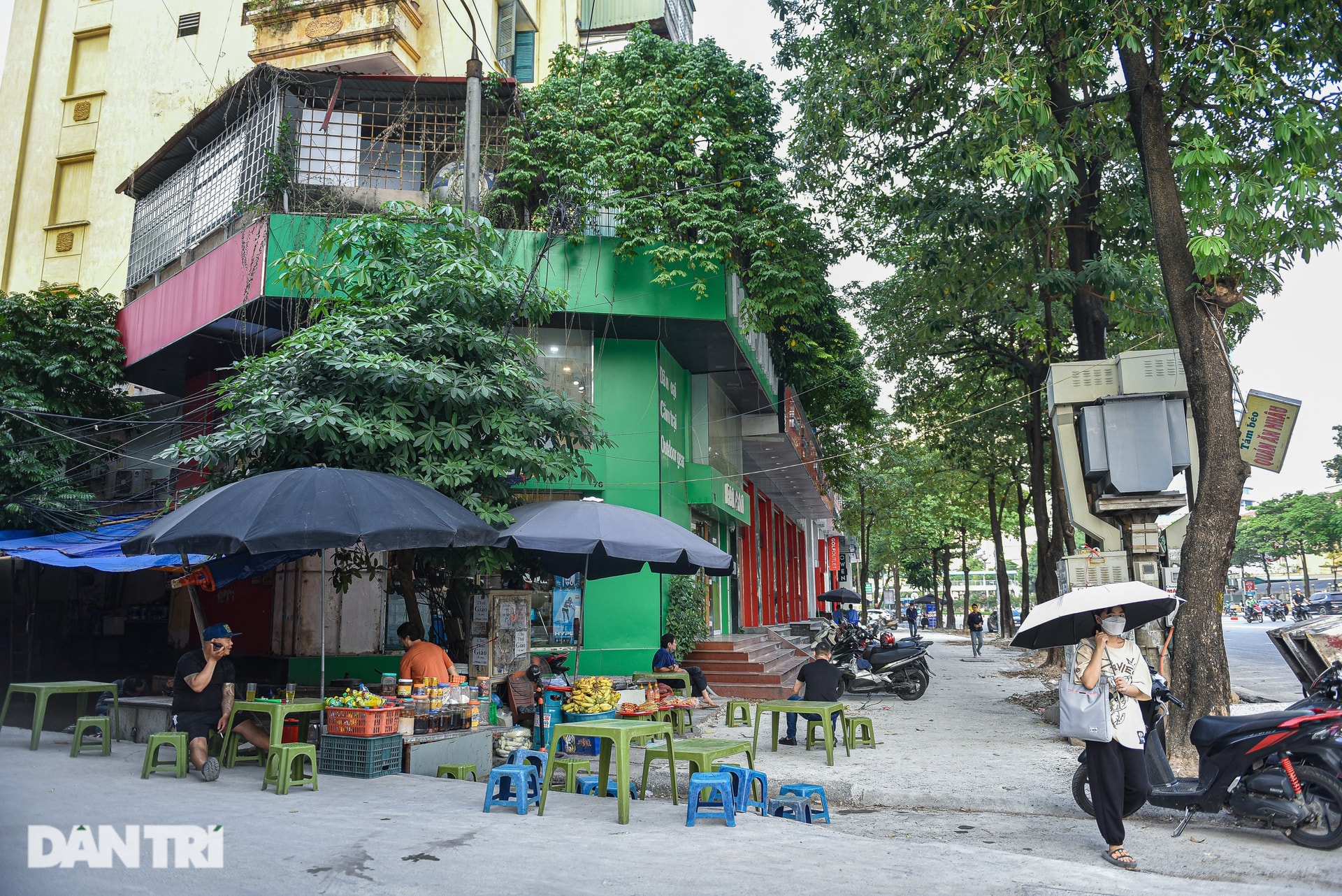 Sống cạnh hàng hoa sữa sắp di dời: Người tiếc nuối, người nói như tra tấn - 4