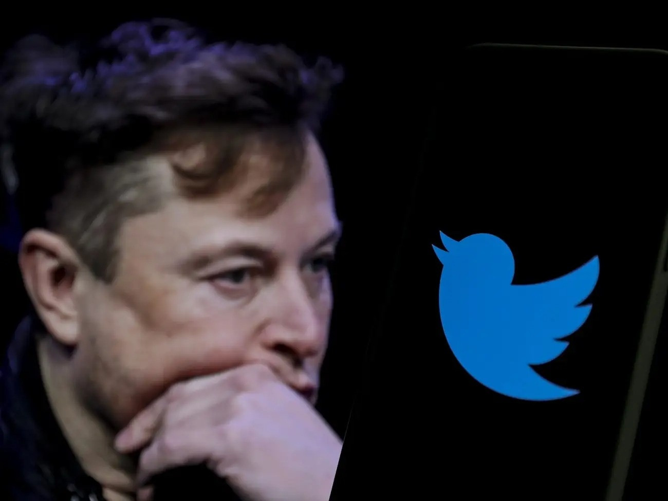 Elon Musk sat phat Twitter anh 1