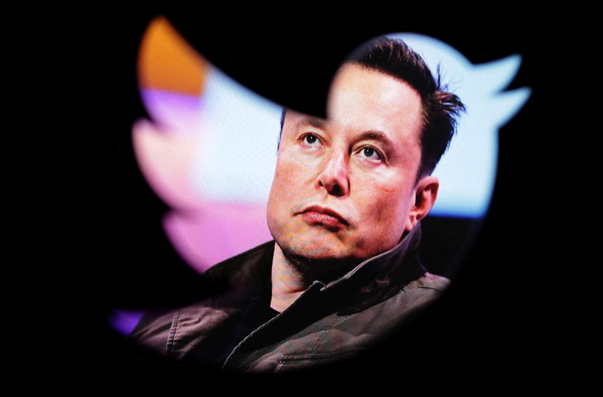 Elon Musk chen ep Twitter anh 1