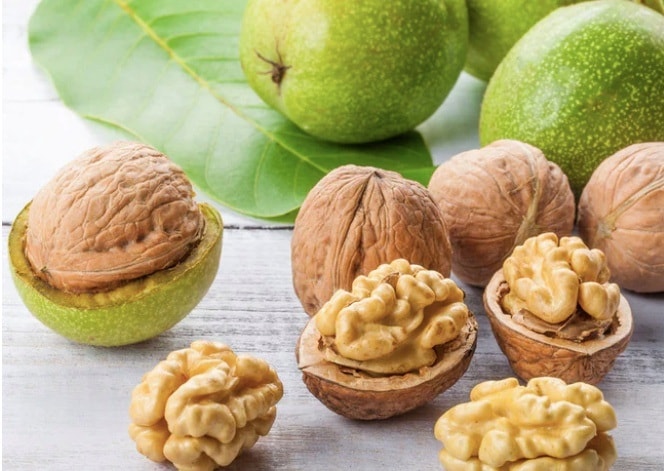 Ăn hạt óc chó có giúp trẻ thông minh? - 1 Ăn hạt óc chó có giúp trẻ thông minh? - 1