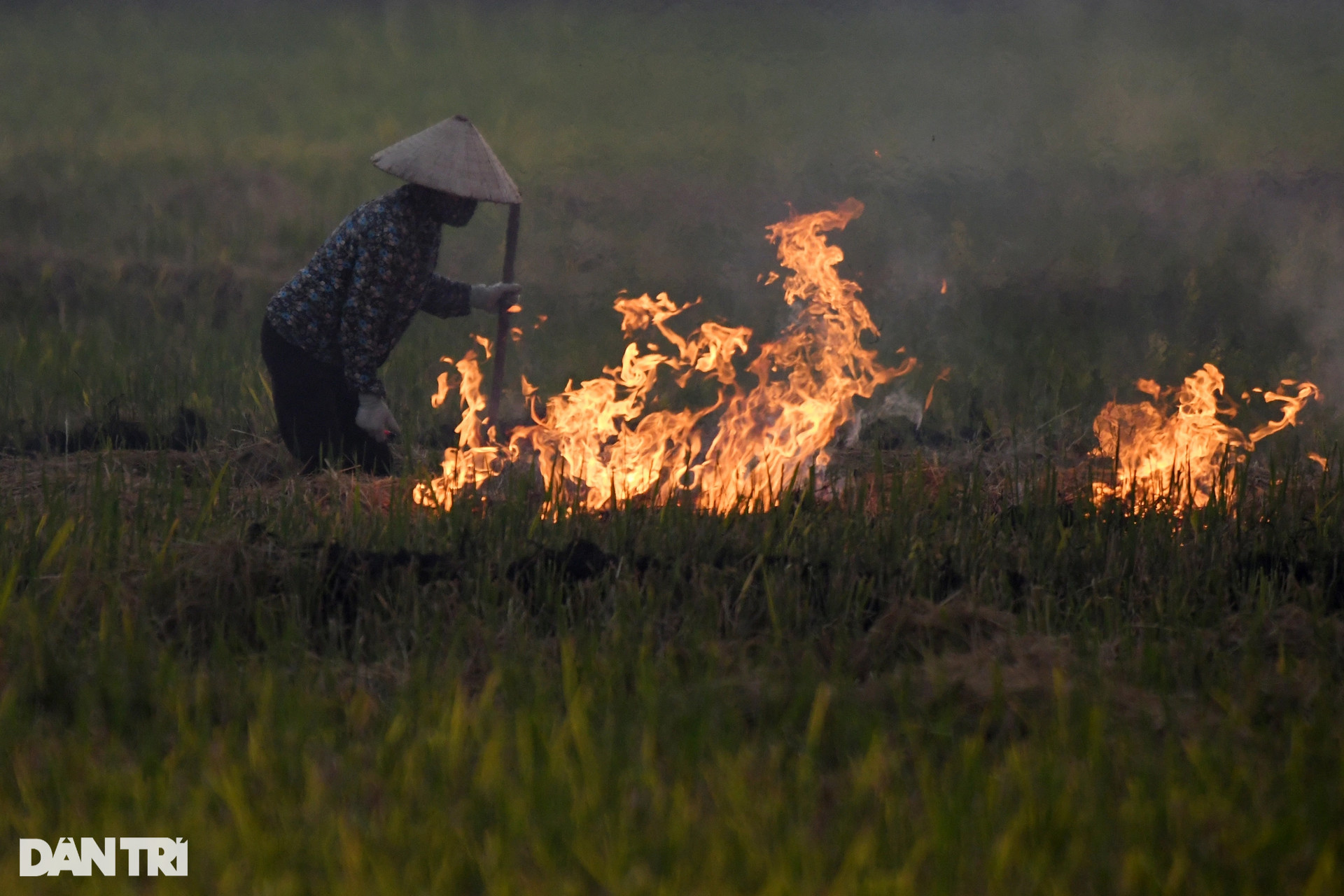Khói đốt rơm rạ mù mịt khu vực máy bay hạ cánh sân bay Nội Bài - 4