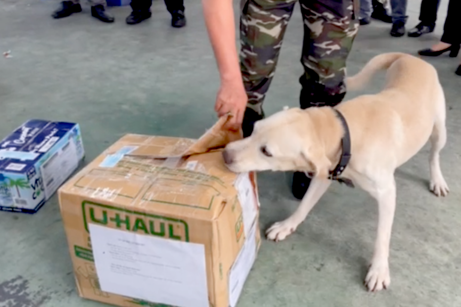 Phát hiện 25kg ma túy trong kiện hàng quà biếu từ Đức, Mỹ về Việt Nam - 1