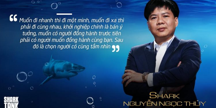shark-thuy-750x375.png