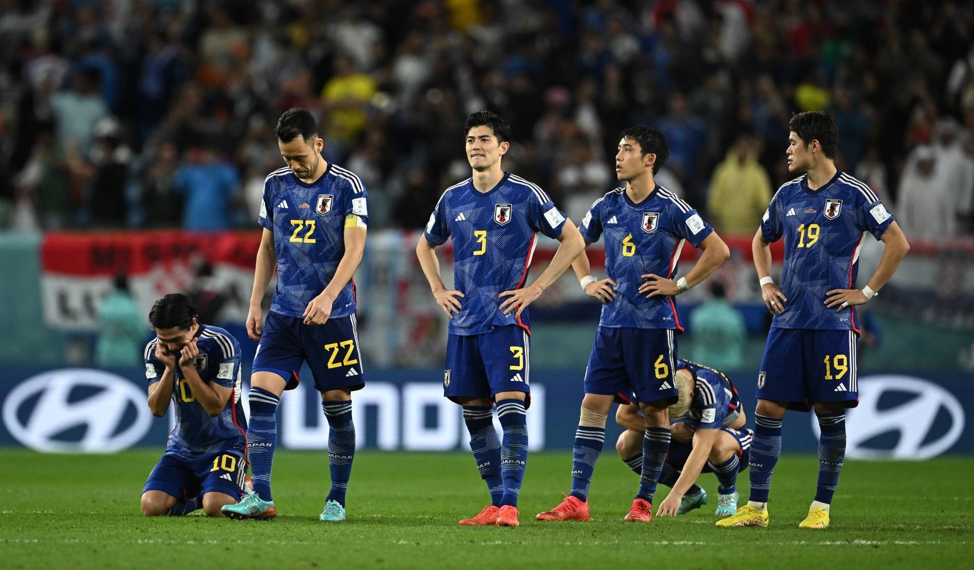 Châu Á sạch bóng ở World Cup 2022: Những cú ngã… oai hùng - 2 Châu Á sạch bóng ở World Cup 2022: Những cú ngã… oai hùng - 2