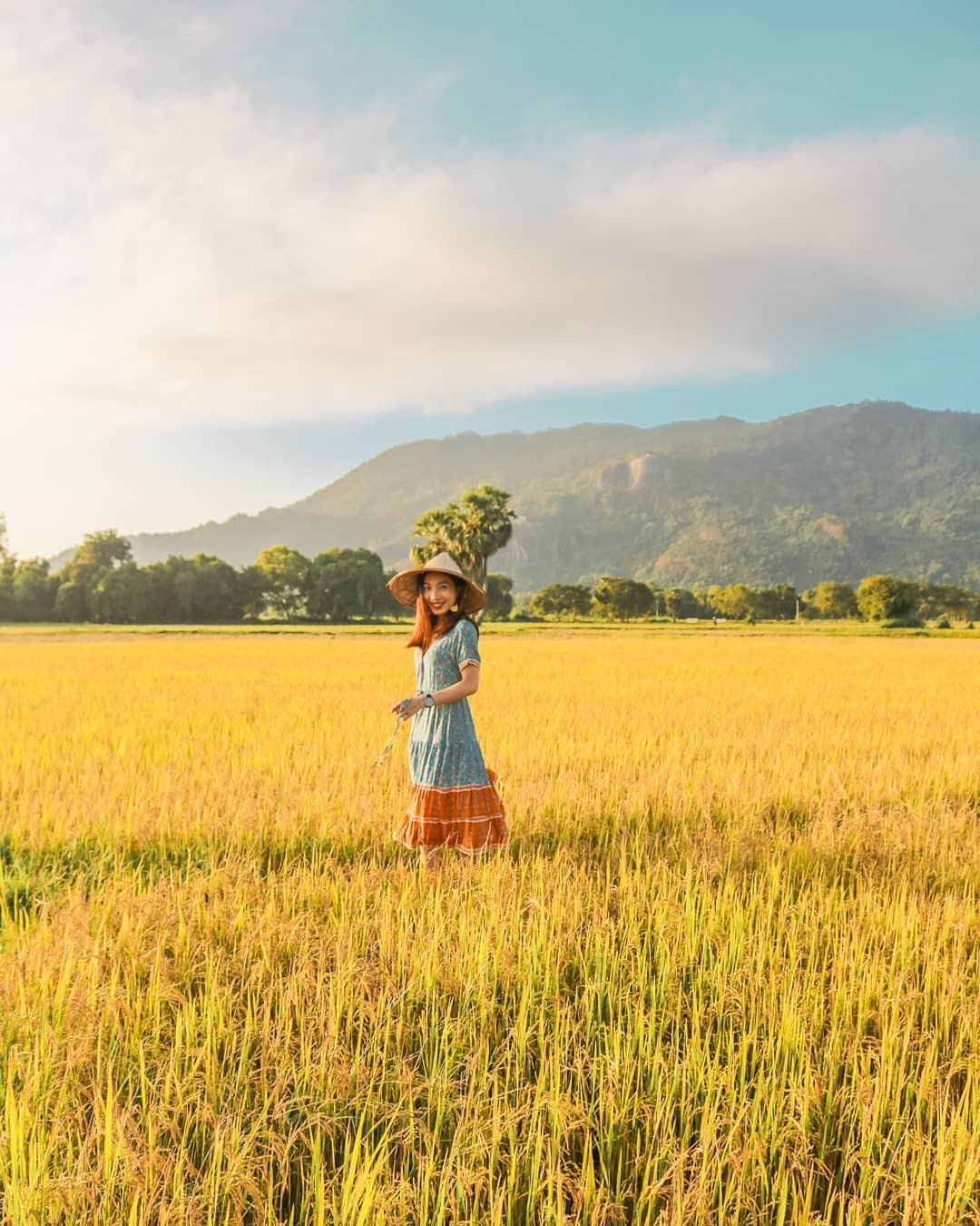 Cánh đồng độc đáo nhất miền Tây đẹp như tranh vẽ với các thửa ruộng màu sắc - 7