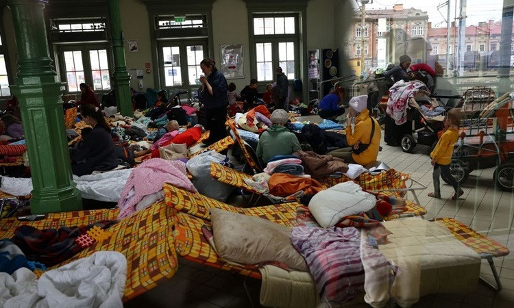 Người Việt rời Ukraine: Con cái bị sốc tâm lý, nhiều lần muốn bỏ cuộc - 4