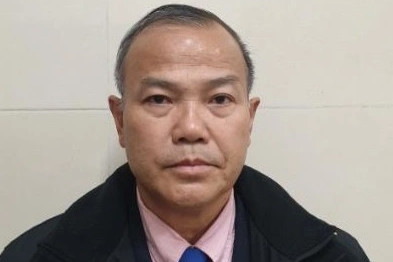 Cựu Thứ trưởng Bộ Ngoại giao Vũ Hồng Nam bị bắt trong vụ bay giải cứu - 1