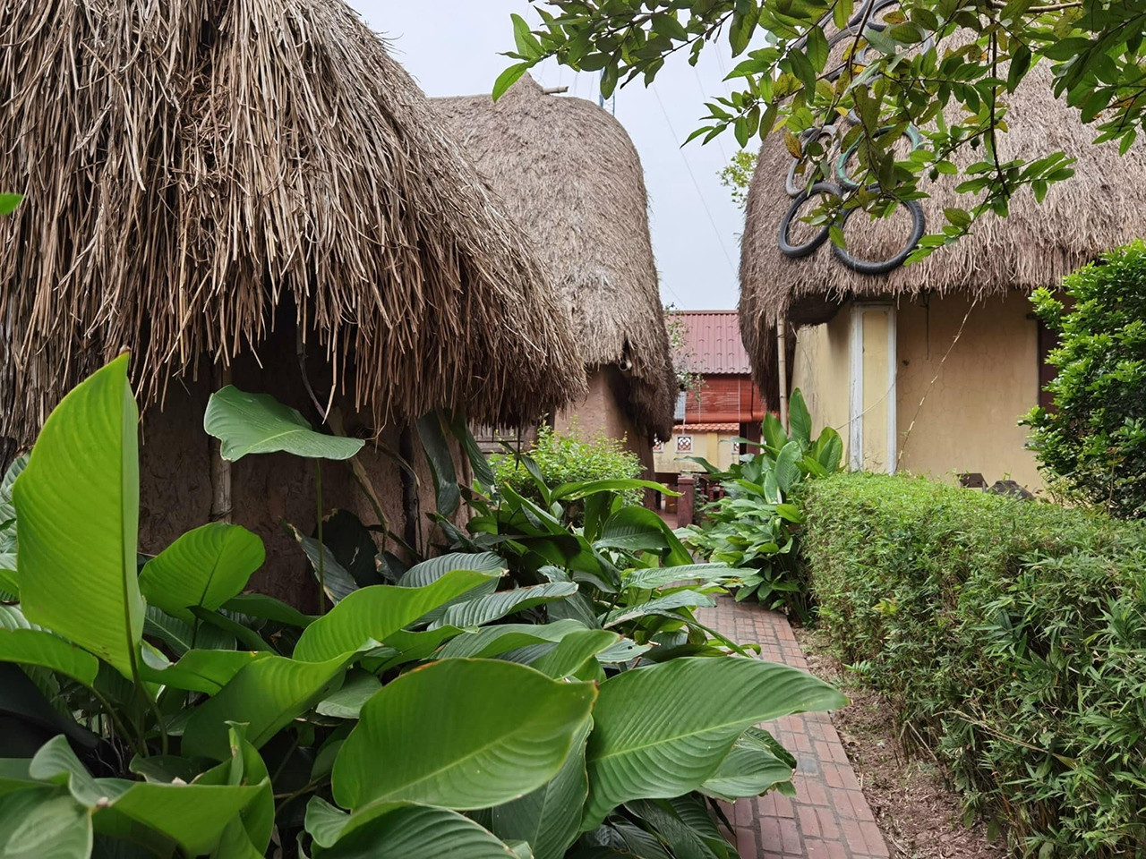 Những ngôi nhà mái rạ độc đáo, nguyên bản nét quê Bắc Bộ cuối cùng ở Nam Định - 18