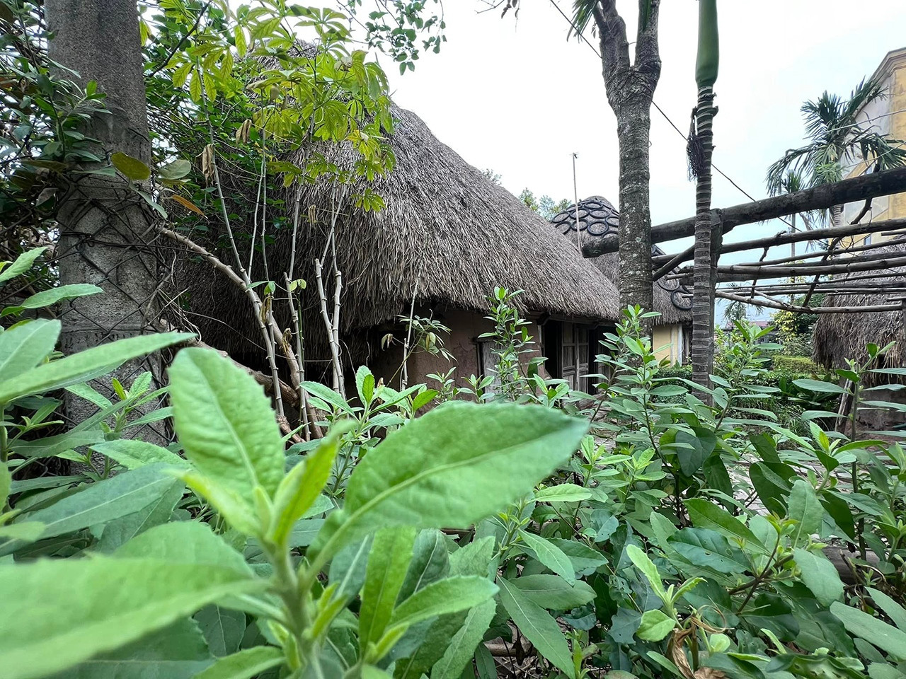 Những ngôi nhà mái rạ độc đáo, nguyên bản nét quê Bắc Bộ cuối cùng ở Nam Định - 16