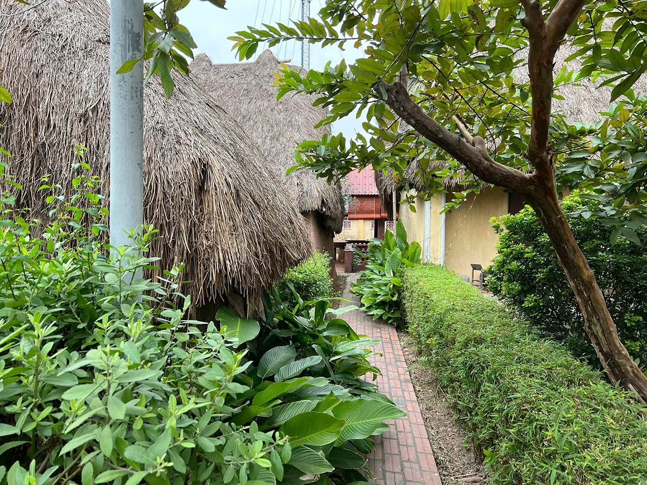 Những ngôi nhà mái rạ độc đáo, nguyên bản nét quê Bắc Bộ cuối cùng ở Nam Định - 15