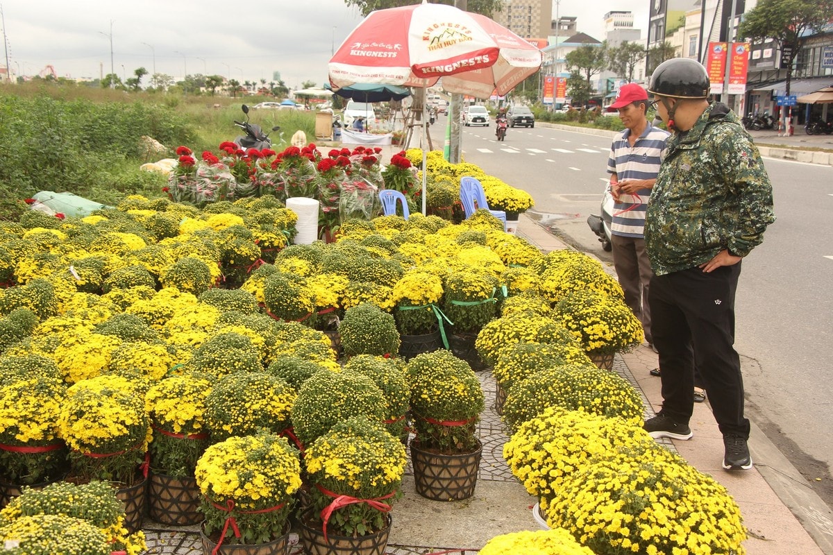 Đà Nẵng: Thời tiết thất thường, hoa tết khan hiếm ảnh 6