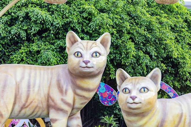 Linh vật mèo nhìn hài hước: Có thật mèo máy Doreamon khổng lồ ở Vũng Tàu? ảnh 2