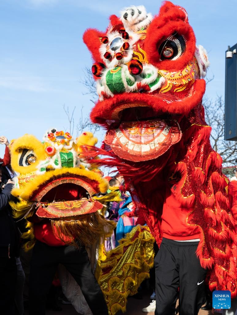 Asians are busy preparing to welcome the Lunar New Year - 17