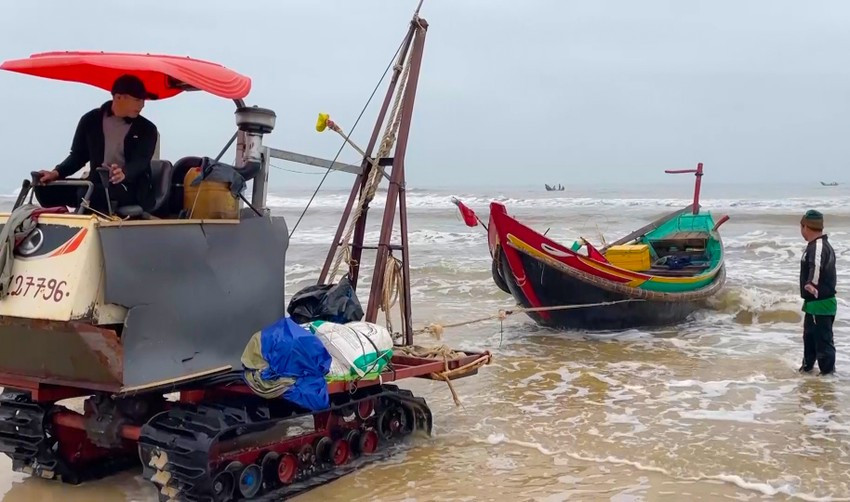 Ngư dân Quảng Bình thu lợi nhuận khủng từ cá khoai ảnh 4