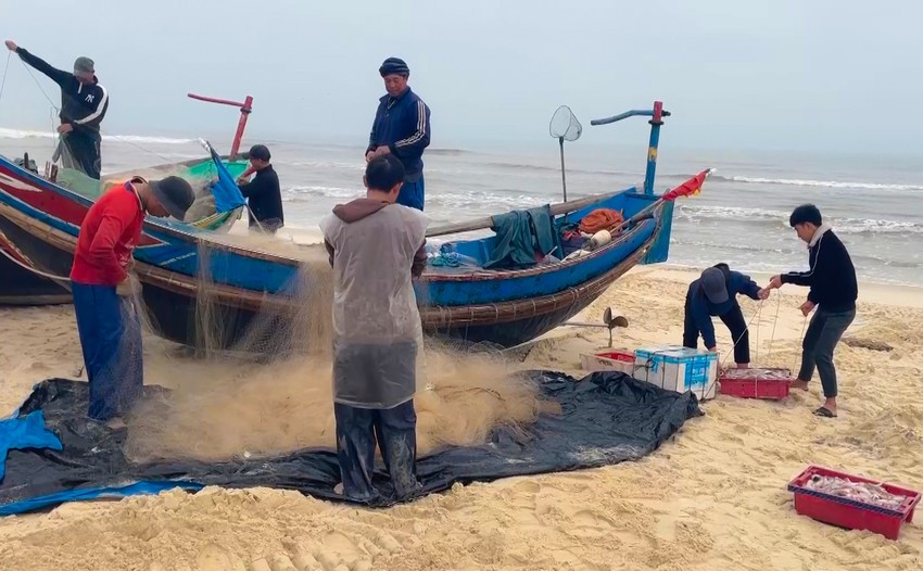 Ngư dân Quảng Bình thu lợi nhuận khủng từ cá khoai ảnh 5
