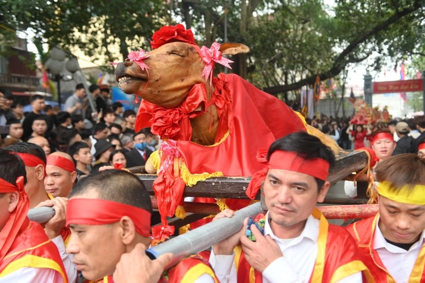 Lễ hội độc đáo: 4 trai tráng khiêng 1 con bò thui bọc lụa đi khắp làng ảnh 4