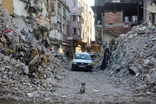 Những 'thiên đường' sụp đổ sau trận động đất kinh hoàng ở Thổ Nhĩ Kỳ ảnh 1