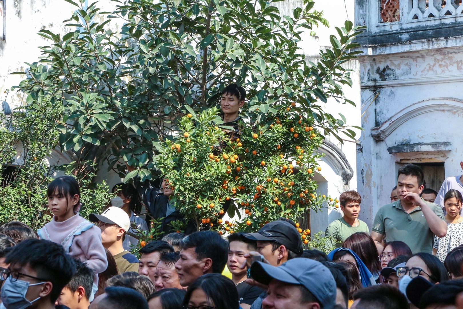 Le hoi giang bong anh 2