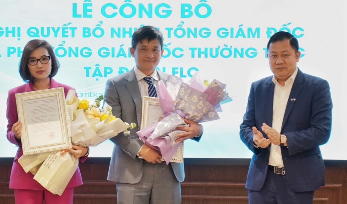 FLC bổ nhiệm tổng giám đốc, hồ sơ tân CEO có gì đặc biệt? - 1