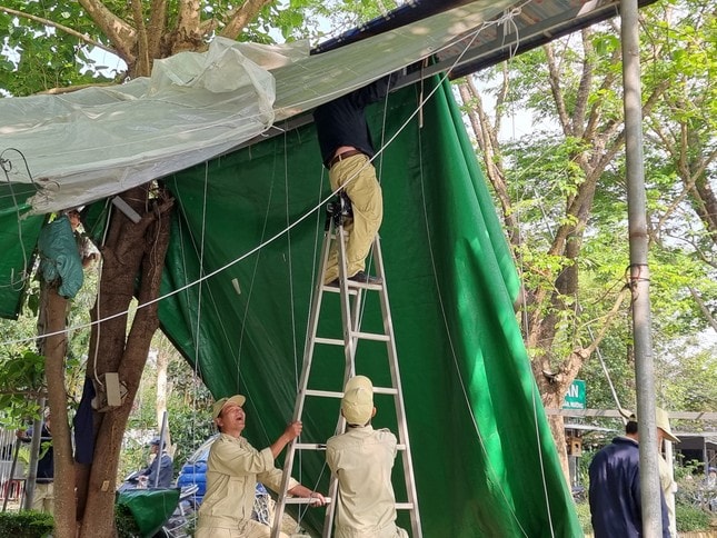 Dựng hàng rào tôn dài gần 1km ở công viên Trịnh Công Sơn tại TP Huế ảnh 4