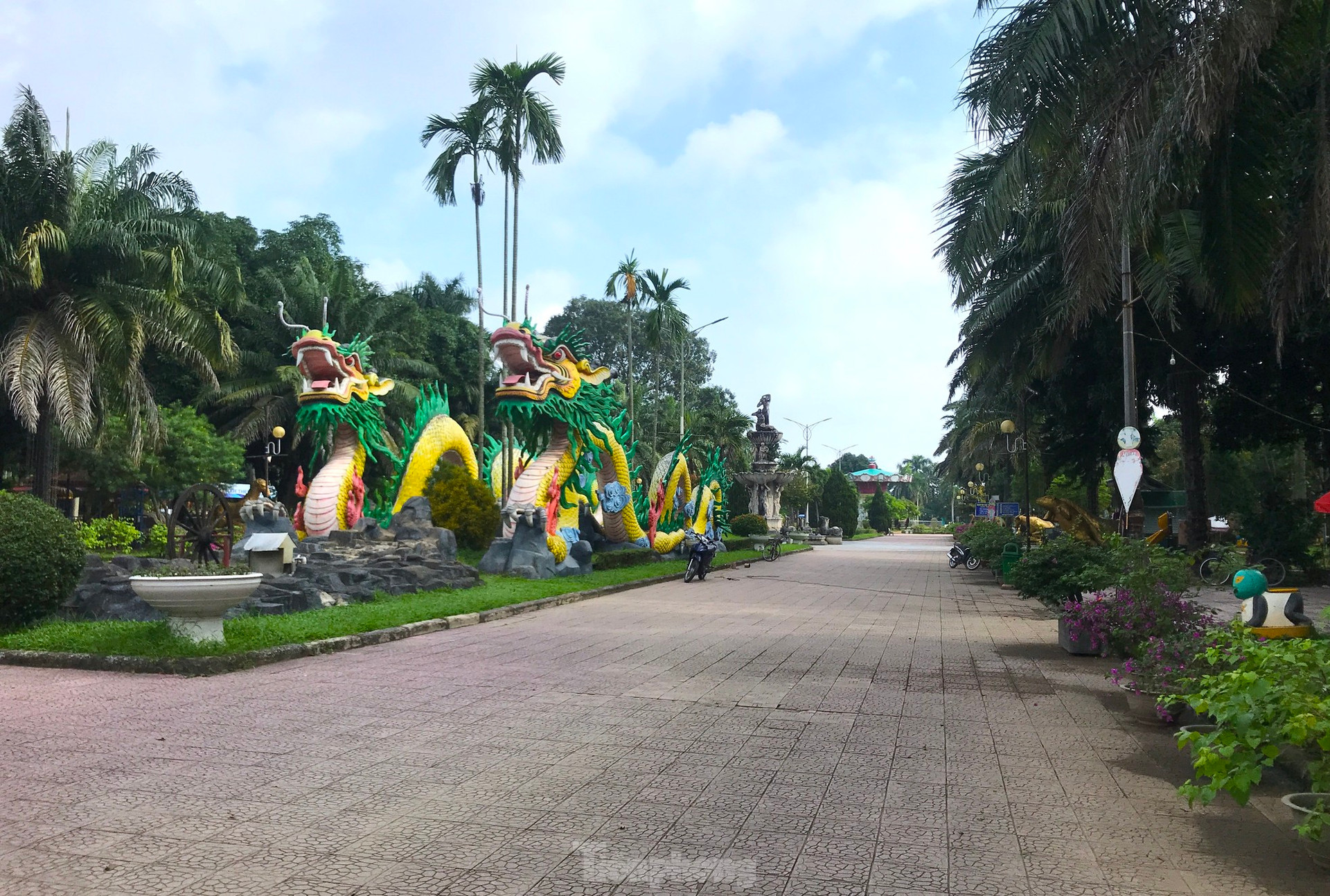 Nỗi lo cá sấu sổng chuồng ở công viên lớn nhất Nghệ An ảnh 1