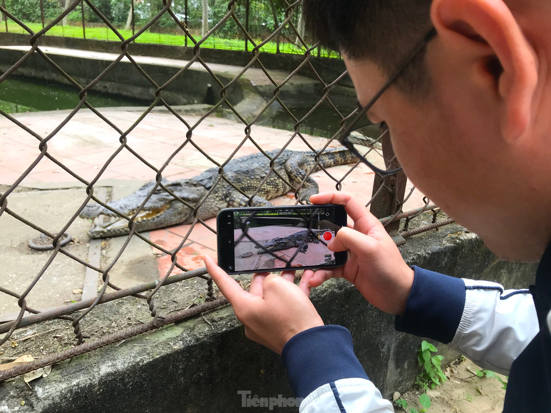 Nỗi lo cá sấu sổng chuồng ở công viên lớn nhất Nghệ An ảnh 18