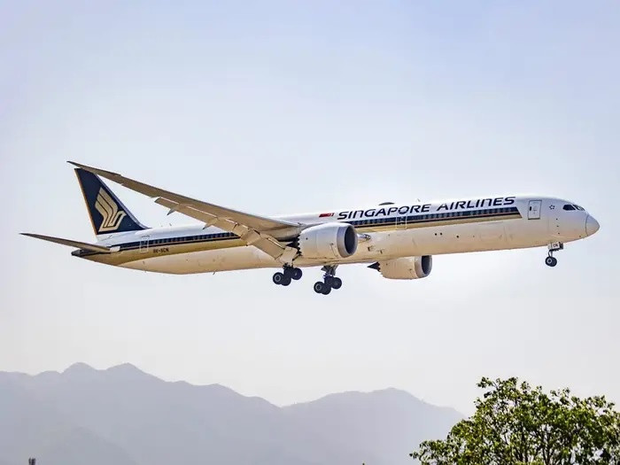 Singapore Airlines anh 21