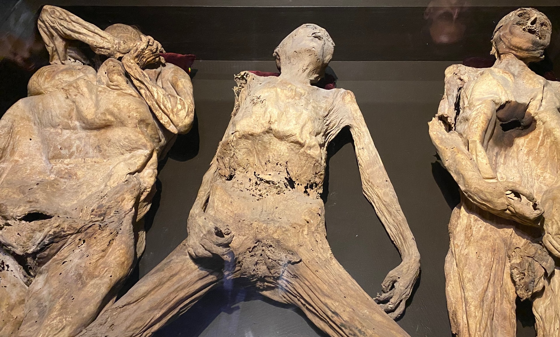 mummymuseumliedown.jpg