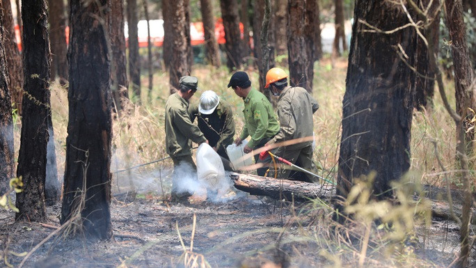 Điều tra nguyên nhân vụ cháy rừng thông trên đèo Prenn - Ảnh 2.