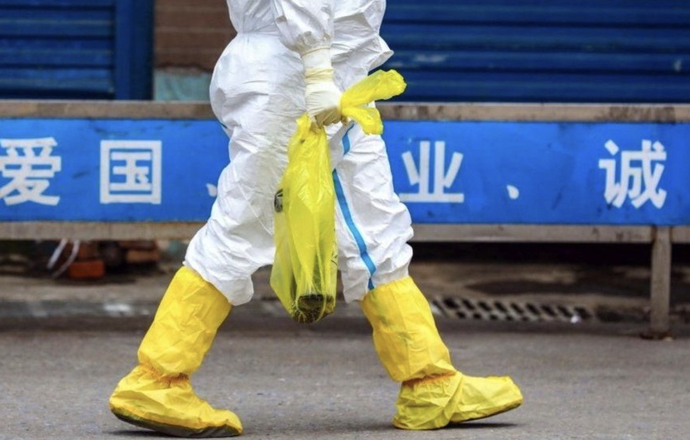 Trung Quốc công bố dữ liệu được mong chờ về nguồn gốc Covid-19