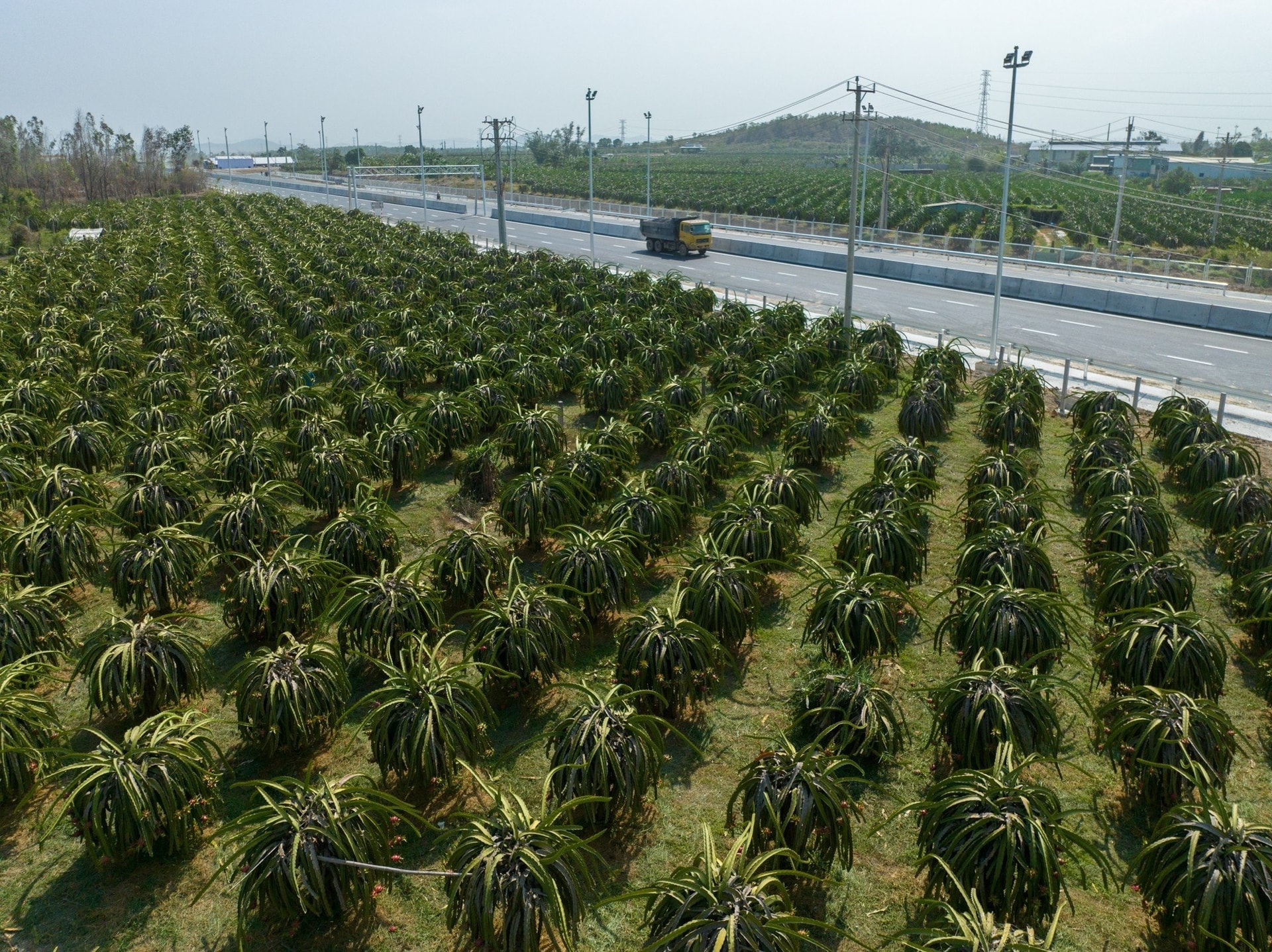 Phan Thiet Dau Giay anh 8