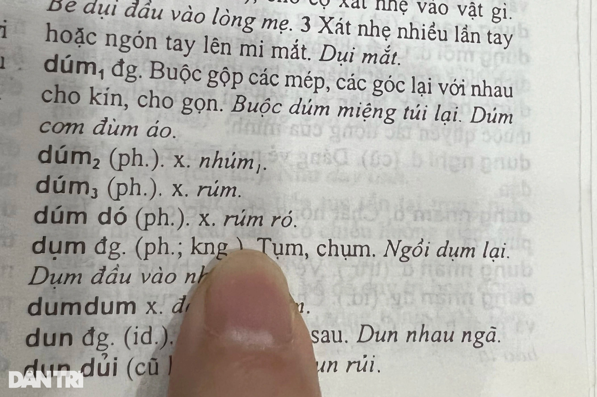 Vua tiếng Việt liên tiếp bị tố đầy sạn, chuyên gia ngôn ngữ học lên tiếng - 6