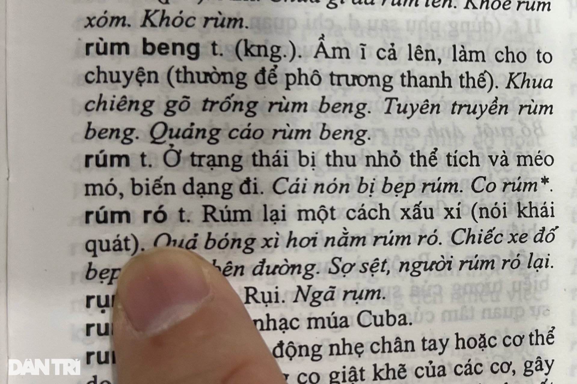 Vua tiếng Việt liên tiếp bị tố đầy sạn, chuyên gia ngôn ngữ học lên tiếng - 7