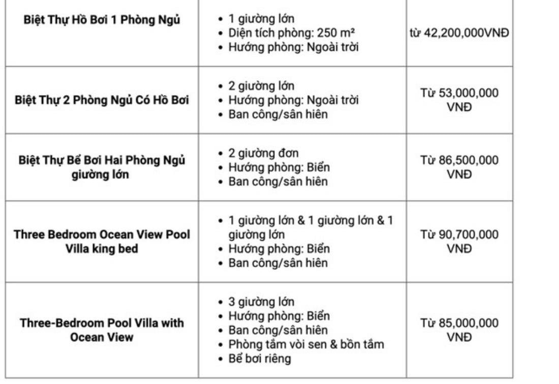 Người giàu Việt du lịch: Thuê máy bay riêng, villa 100-200 triệu đồng/đêm - 2