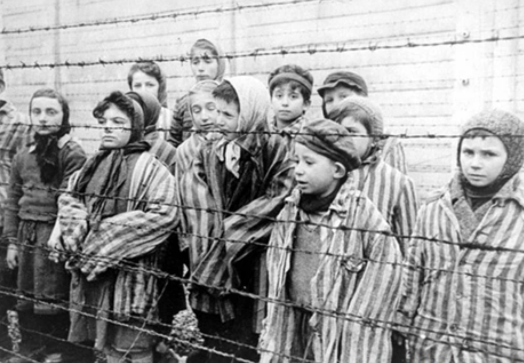 Bài học đau xót cho nhân loại từ địa ngục Auschwitz - 1