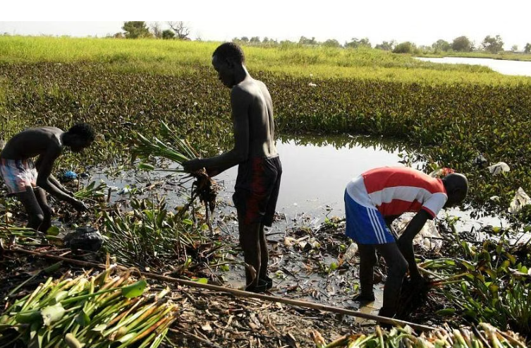 Các quốc gia châu Phi, các quốc gia nghèo đang phải đối mặt với những hậu quả sức khỏe của biến đổi khí hậu -Ảnh: AFP