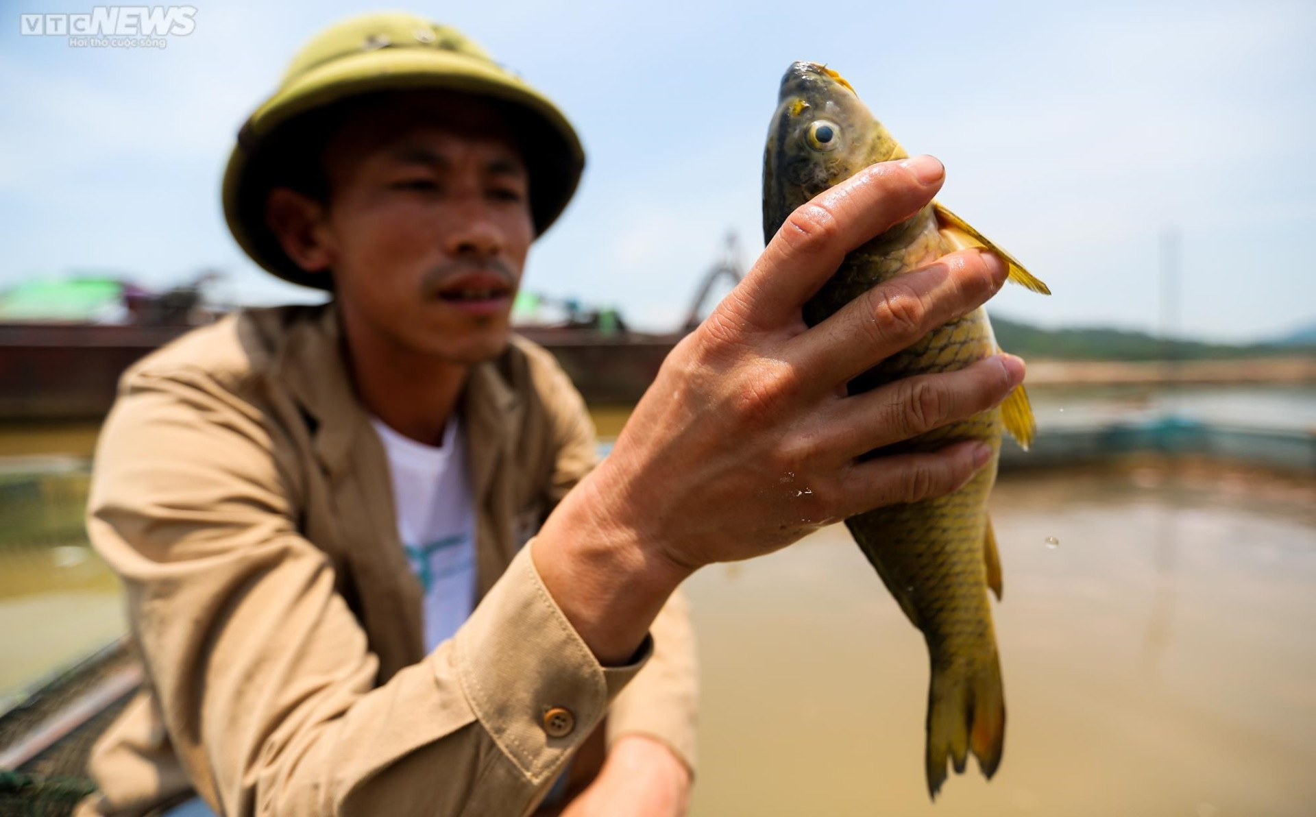 Sông Đà cạn trơ đáy: Người dân bất lực nhìn cá, hoa màu chết khô - 15