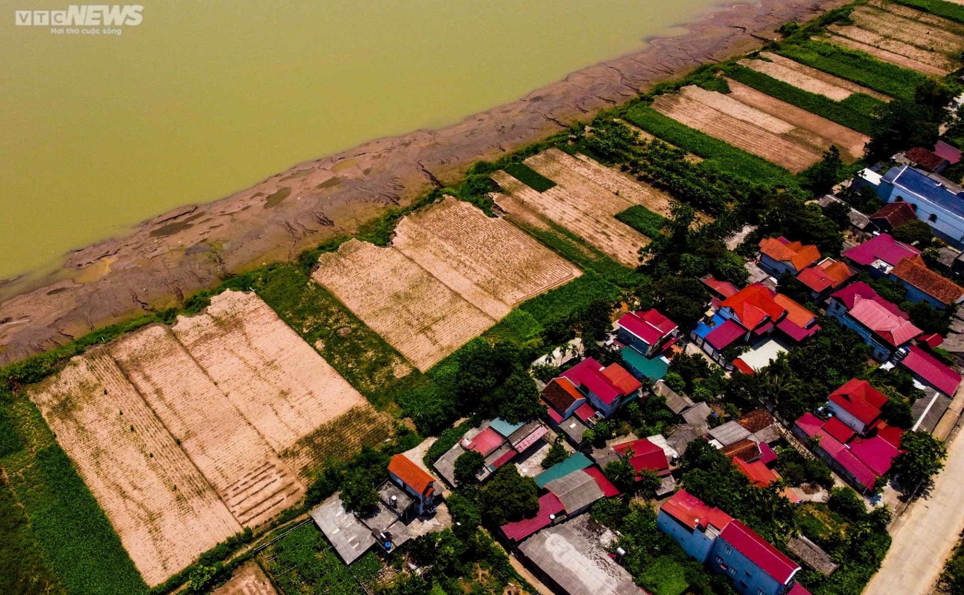 Sông Đà cạn trơ đáy: Người dân bất lực nhìn cá, hoa màu chết khô - 17